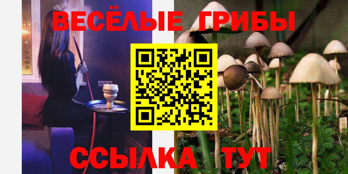 Кунгур  Галлюциногенные грибы мицелий  Вход с VPN 